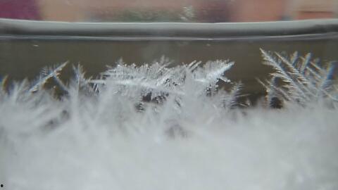 网红气象瓶,捕捉时光的魔法瓶