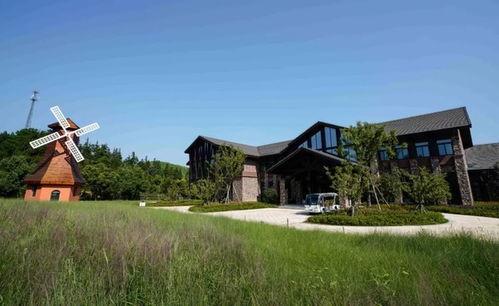 武鸣网红打卡小镇在哪里,探寻广西新兴旅游胜地