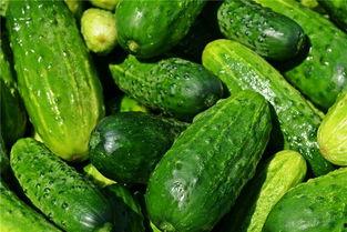 梦见吃黃瓜l,黄瓜的神秘寓意与生活启示