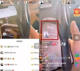 仙家主播爆料视频大全,视频大全背后的惊人真相