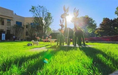 三马网红,揭秘网络红人的崛起之路