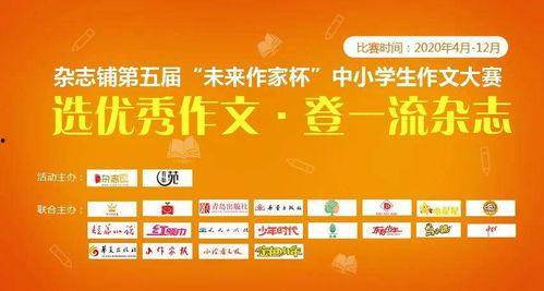 文大路上沈阳头条,繁华都市的活力动脉