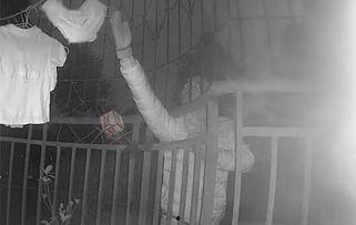 内裤控男明星,揭秘他们的独特品味与时尚态度