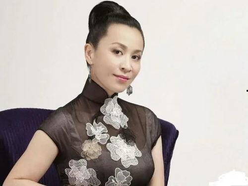 江苏明星刘,闪耀舞台的璀璨之星