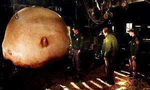 撕裂人 在线观看