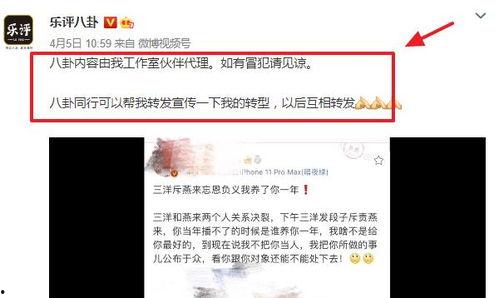 网红小学生账号名字,网络时代的校园新星