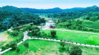 南京网红宝卡湖在哪里,探寻宝卡湖的神秘魅力