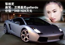 明星汽车,闪耀赛道，驾驭梦想的豪华座驾