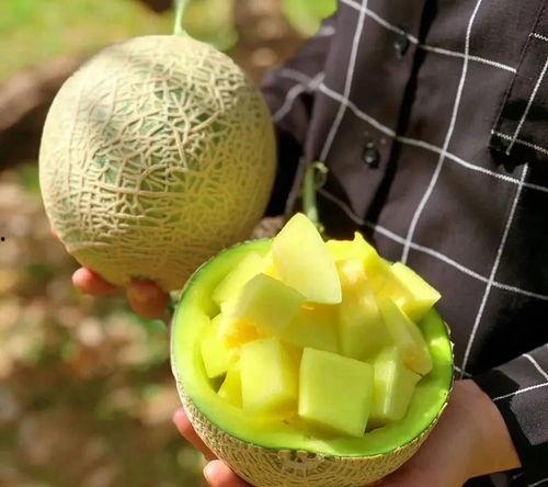 在圈里吃瓜,揭秘娱乐圈背后的故事与真相