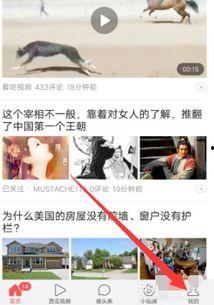 经常访问我的头条好友,揭秘你的社交圈秘密！”