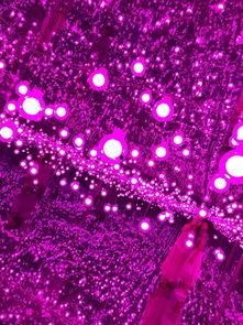 星空网红,闪耀夜空的新星力量