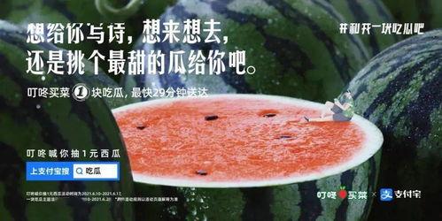 免费吃瓜的文案怎么写,揭秘娱乐圈幕后故事