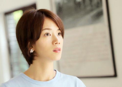 哪些明星是浙江金华,明星摇篮，星光熠熠的璀璨之地