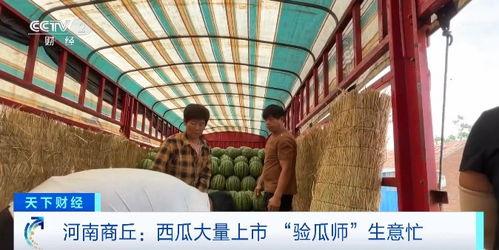 禹县李口镇新闻头条