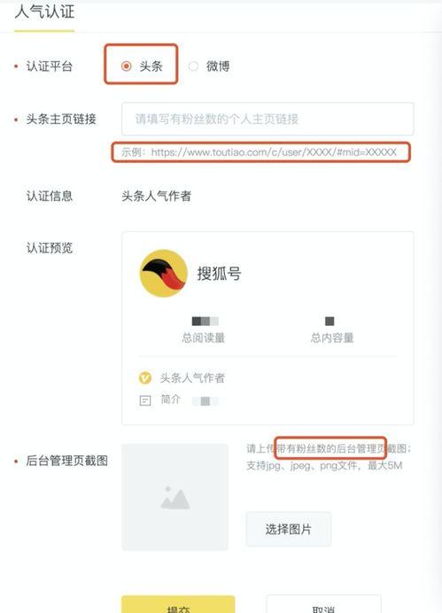 头条认证信息在哪填,提升账号信誉度