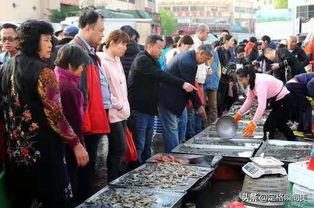 武夷山早市头条,探寻千年茶香里的市井生活画卷