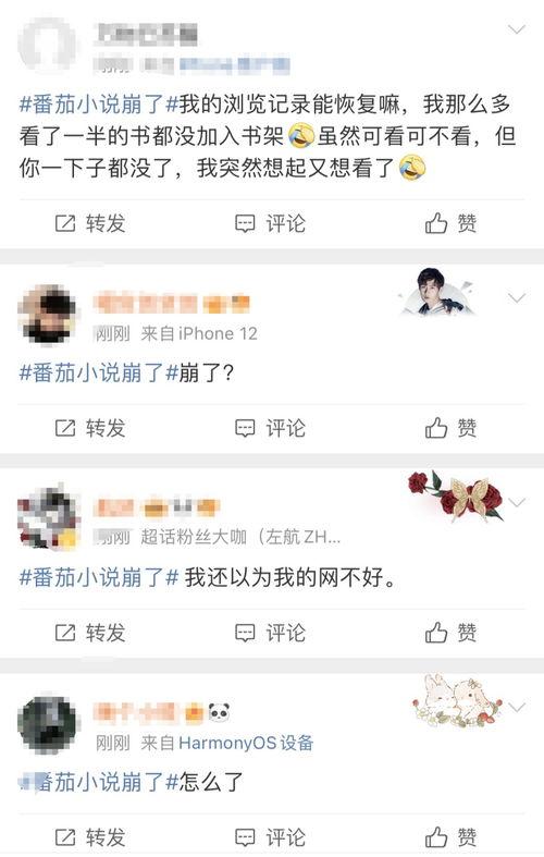 头条评论为什么显示不全,揭秘技术限制与用户体验挑战