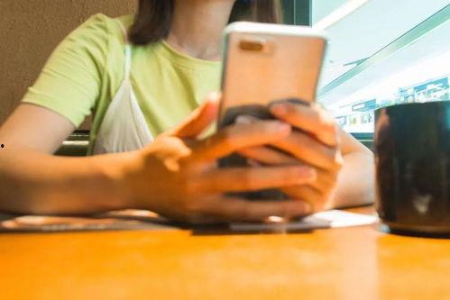 网红小西餐视频大全,轻松学做西式美食，解锁味蕾新境界