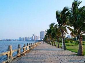 珠海情侣路吃瓜,瓜田里的悠闲时光