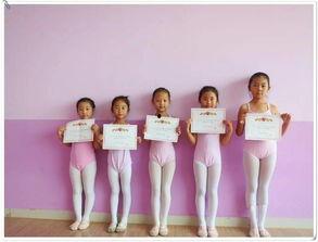 坚持梦想付出明星,明星的坚持与付出