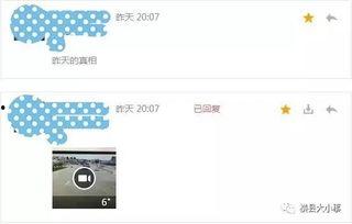 爆料视频在哪里找到,爆料视频背后的故事与真相