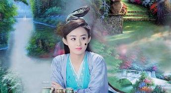 明星幻想赵丽颖小说,梦幻星辰下的爱情传奇