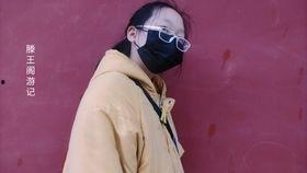 明星莲哥是谁,娱乐圈的璀璨新星