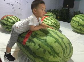 吃瓜群众喊加油,共筑美好未来