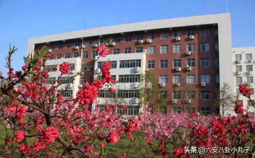 湖南涉外学院网红打卡,青春校园风光新地标