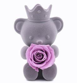 网红泰迪熊永生花