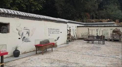 网红垂直陂,揭秘网红背后的商业秘密与成功之道