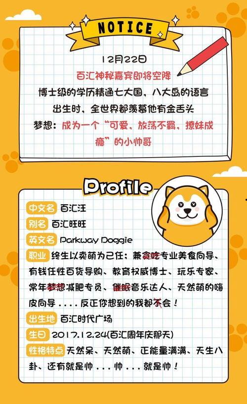 红遍头条手机壁纸高清,高清手机壁纸，视觉盛宴一触即发