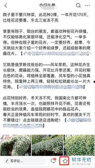 头条作者在哪查找文章,轻松定位心仪内容