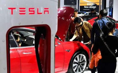 特斯拉各种爆料视频大全,揭秘电动车王国的神秘面纱