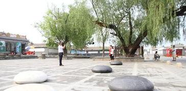 咸阳市网红村在哪